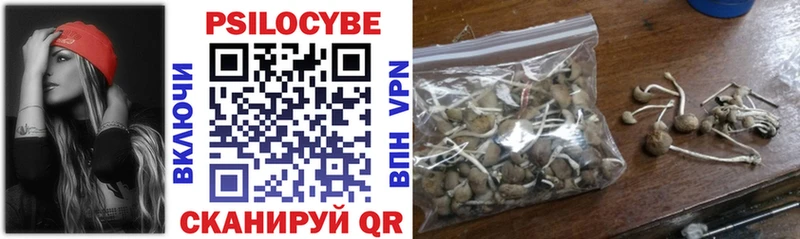 Купить Кяхта Галлюциногенные грибы GOLDEN TEACHER
