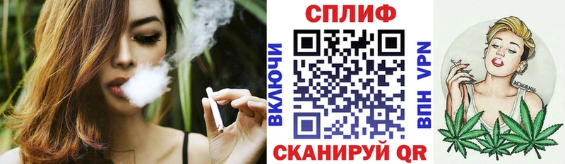 Бошки марихуана план  Купить где  Кяхта 